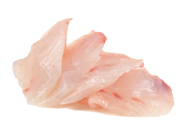 SASHIMI DAURADE X8
