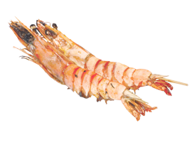 YAKITORI GAMBAS X2