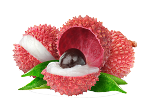 JUS (LYCHEE) 25CL