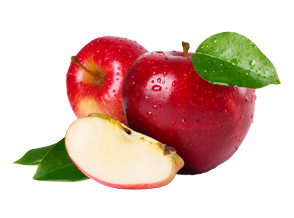 JUS (POMME) 20CL