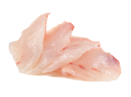 SASHIMI DAURADE X8