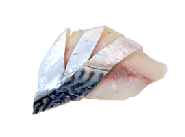 SASHIMI MAQUEREAU X8