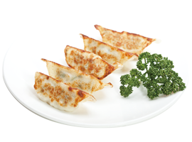 GYOZA POULET X5