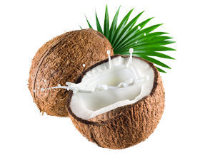 JUS COCO