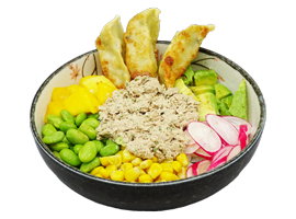 GYOZA POKE BOWL THON CUIT