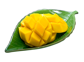 MANGUE FRAICHE