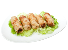 NEMS AU POULET X5