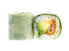 PRINTEMPS TEMPRUA AVOCAT X6