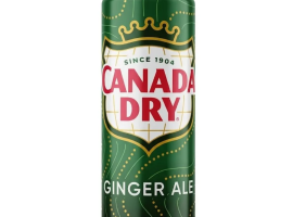CANADA DRY GINGER 33CL